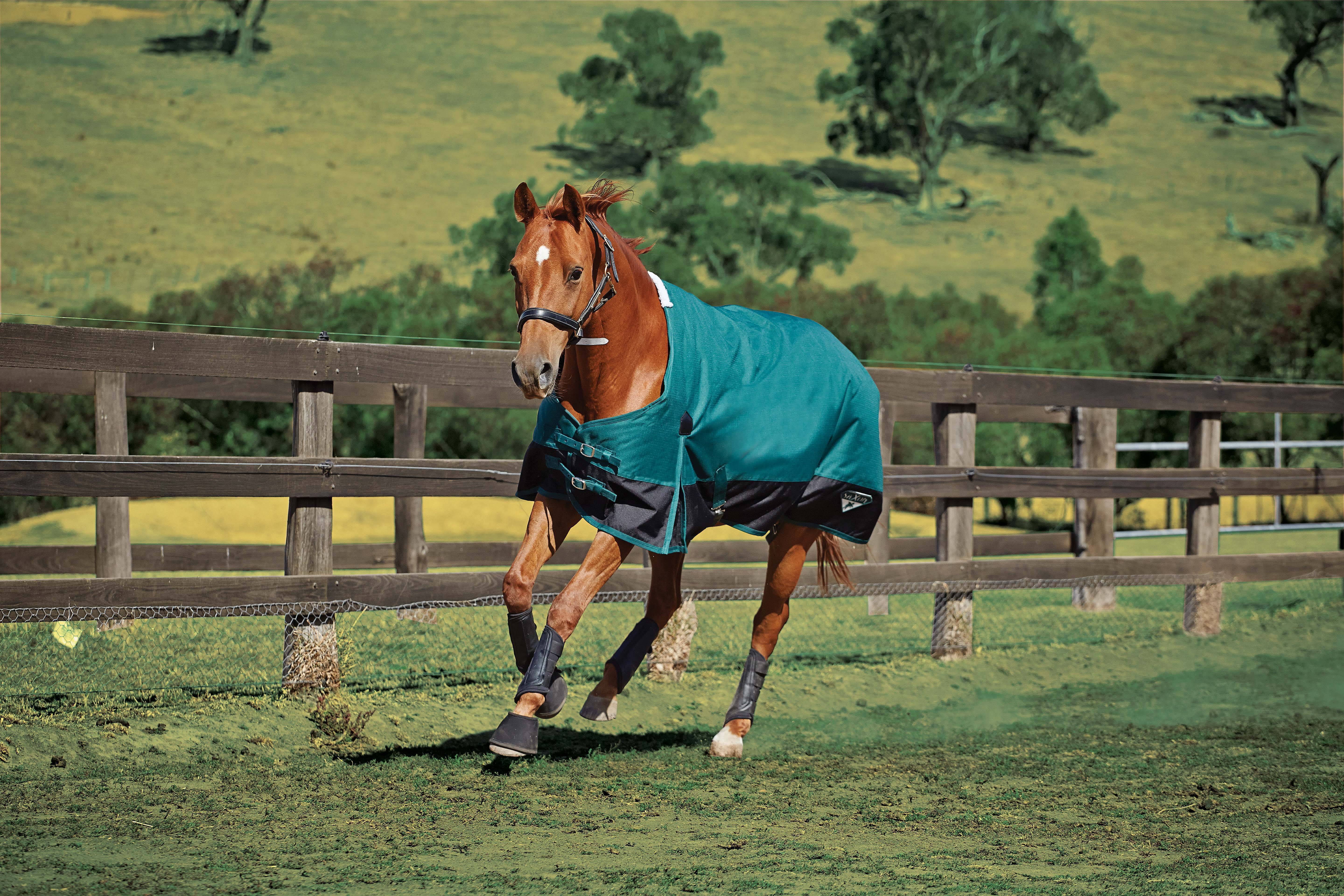 Saxon 1200D with Gusset Standard Neck Medium II Hunter/Black 69 NY_J4LJWARB Saxon 1200D with Gusset Standard Neck Medium II Hunter/Black 69 NY_J4LJWARB