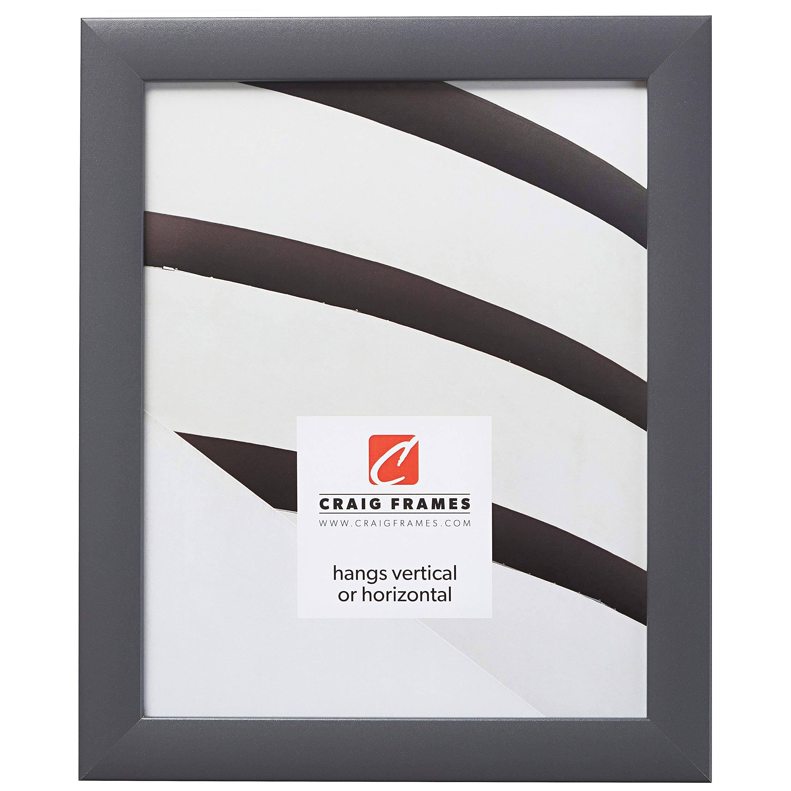Craig Frames 23247635 Picture Frame, 24 x 36 inch, Grey, Gray E9_JNOSTMM2