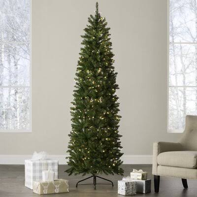 Pencil Green Fir Artificial Christmas Tree with 350 Clear/White Lights Andover Mills Size 7.5' H WZ_Z0S3NL6D Pencil Green Fir Artificial Christmas Tree with 350 Clear/White Lights Andover Mills Size 7.5' H WZ_Z0S3NL6D