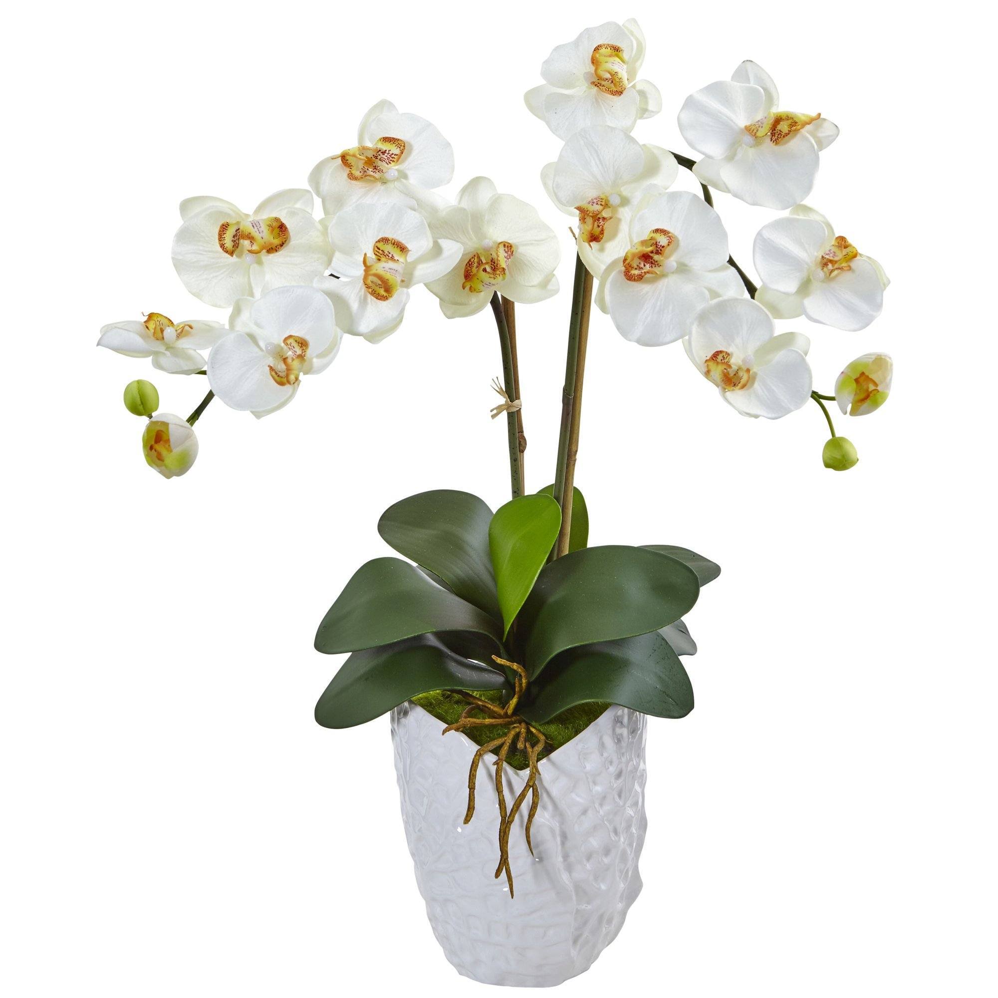 Nearly Natural Double Phalaenopsis Orchid Silk Arrangement in White Vase JI_OPLIQAMP Nearly Natural Double Phalaenopsis Orchid Silk Arrangement in White Vase JI_OPLIQAMP