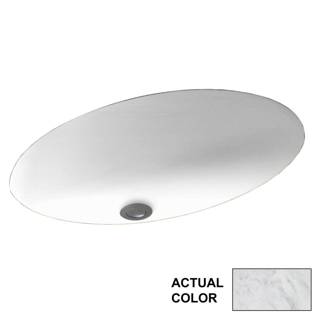 Swan 19 in. Oval Undermount Bathroom Sink in Tundra BL_FY29NKIV