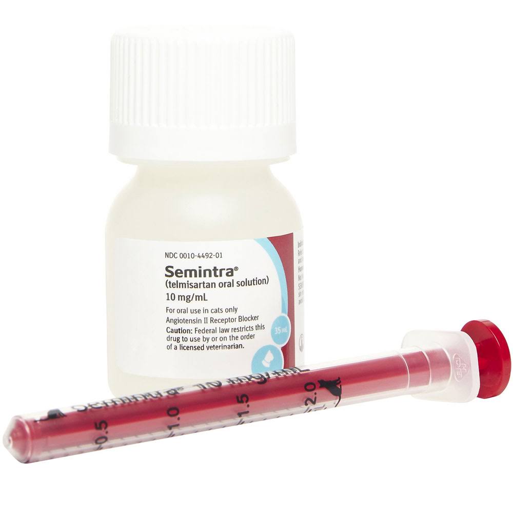 Semintra 35-Ml Oral Solution For Cats, 10 Mg/Ml 5Y_AUOVIJGV