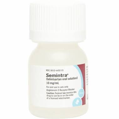 Semintra 35-Ml Oral Solution For Cats, 10 Mg/Ml 5Y_AUOVIJGV