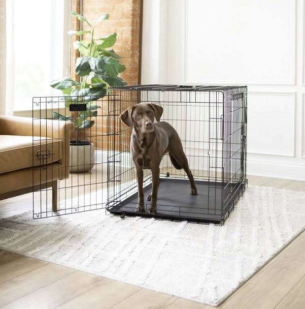 Vibrant Life Double-Door Foldable Metal Wire Dog Crate With Divider, X-Large, 42 DH_O8OCJXP7