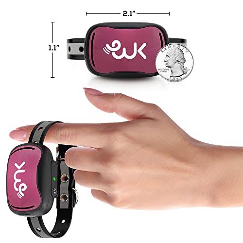 Wiggle Kingdom - World's Smallest Shock Collar For Small Dogs With Sound, Vibration & Shock (Purple) 5I_OKA32NDY