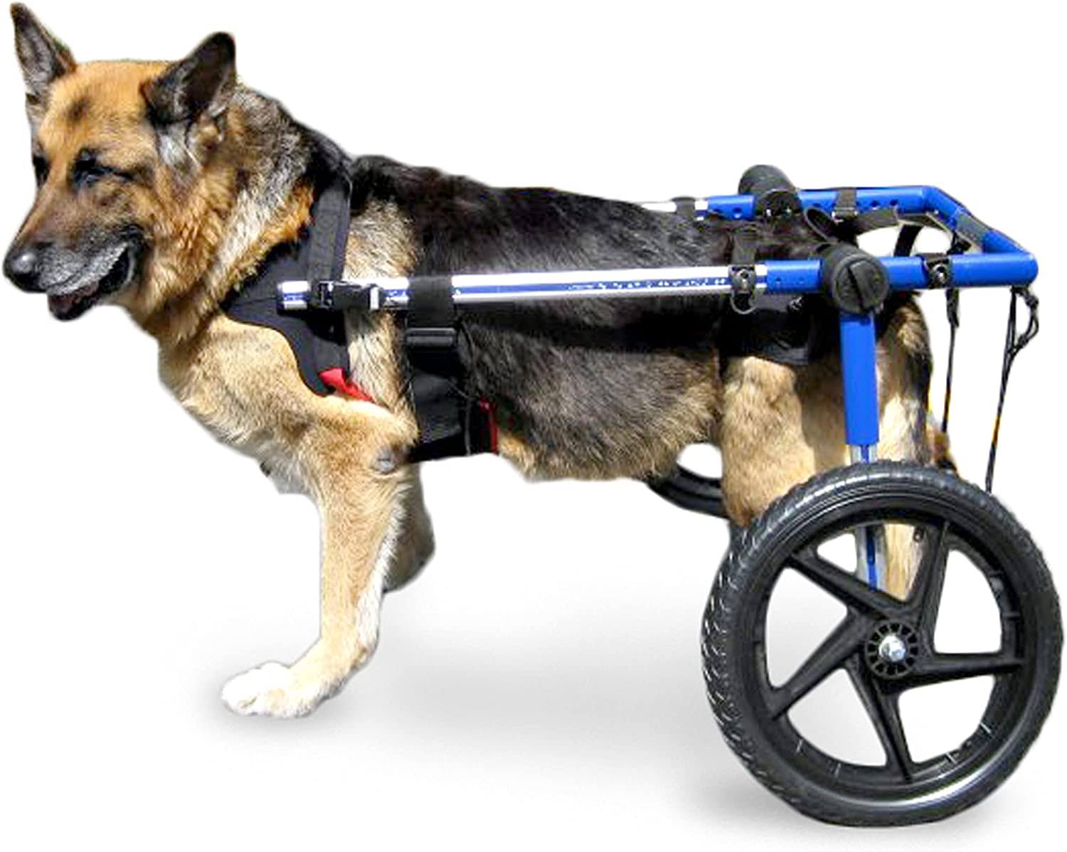 Med/Large Dog Wheelchair By Walkin' Wheels (Rear Leg Height: 21-22, Color: Blue, Tire Type: Air) AD_G5X5PQ2B Med/Large Dog Wheelchair By Walkin' Wheels (Rear Leg Height: 21-22, Color: Blue, Tire Type: Air) AD_G5X5PQ2B