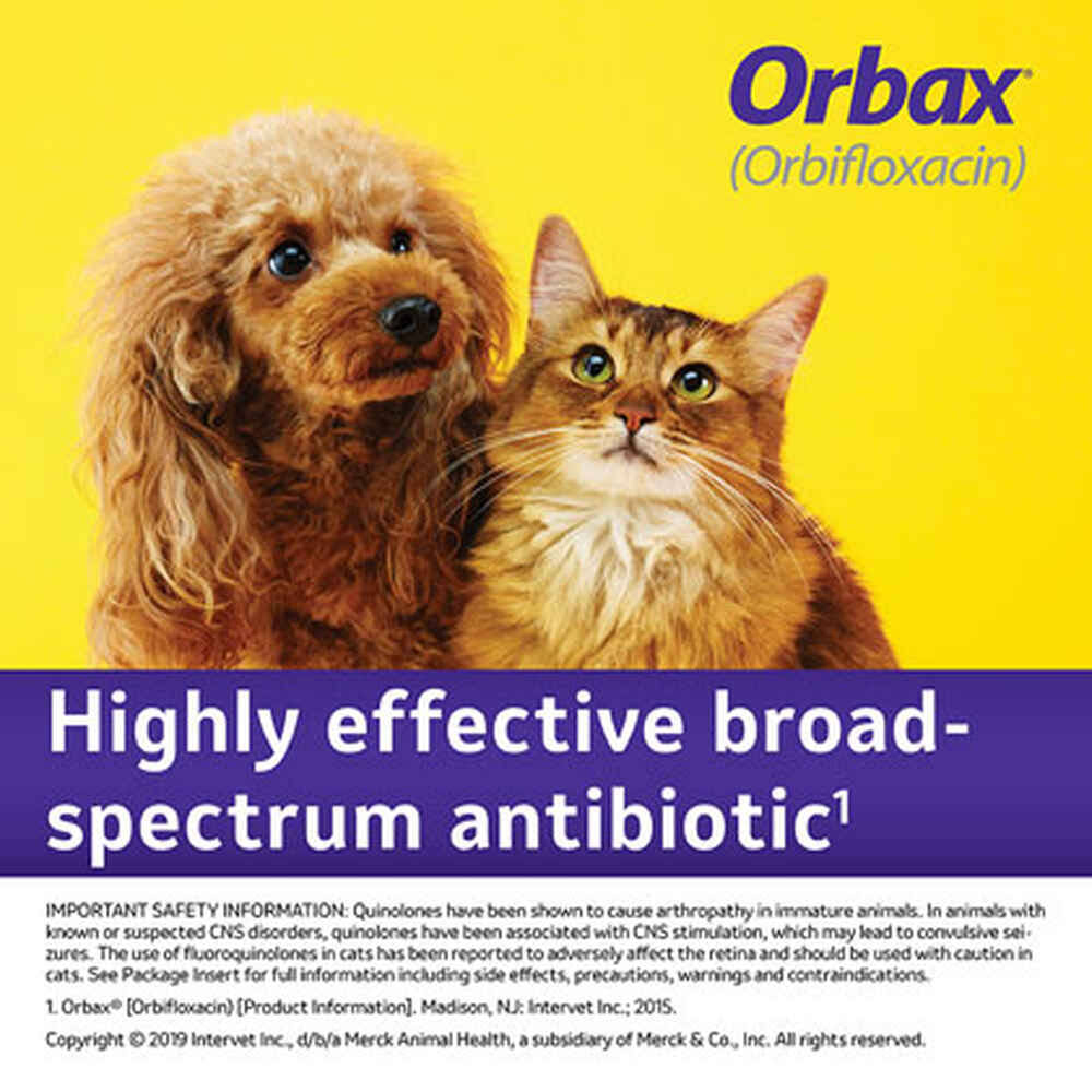 Orbax Oral Suspension 30mg/Ml (20ml) 5T_3AL9B9XL