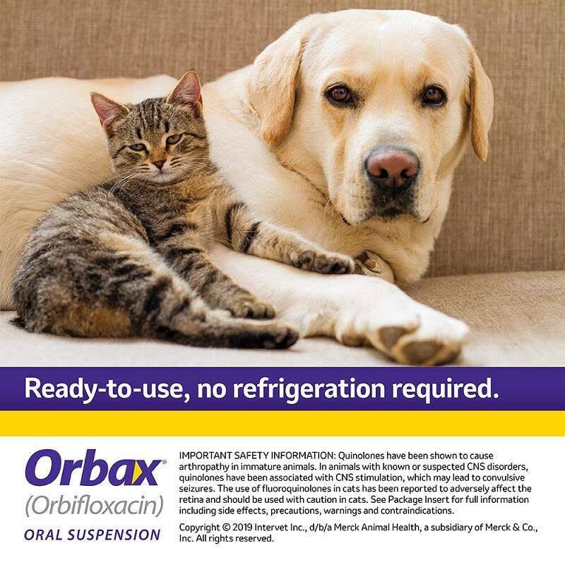 Orbax Oral Suspension 30mg/Ml (20ml) 5T_3AL9B9XL