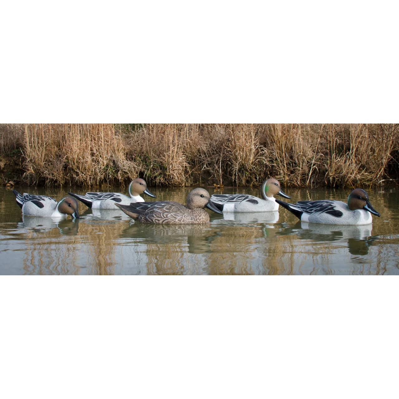 Higdon Decoys Foam Filled Standard Pintail - 6 Pack YC_HEBNA47B Higdon Decoys Foam Filled Standard Pintail - 6 Pack YC_HEBNA47B