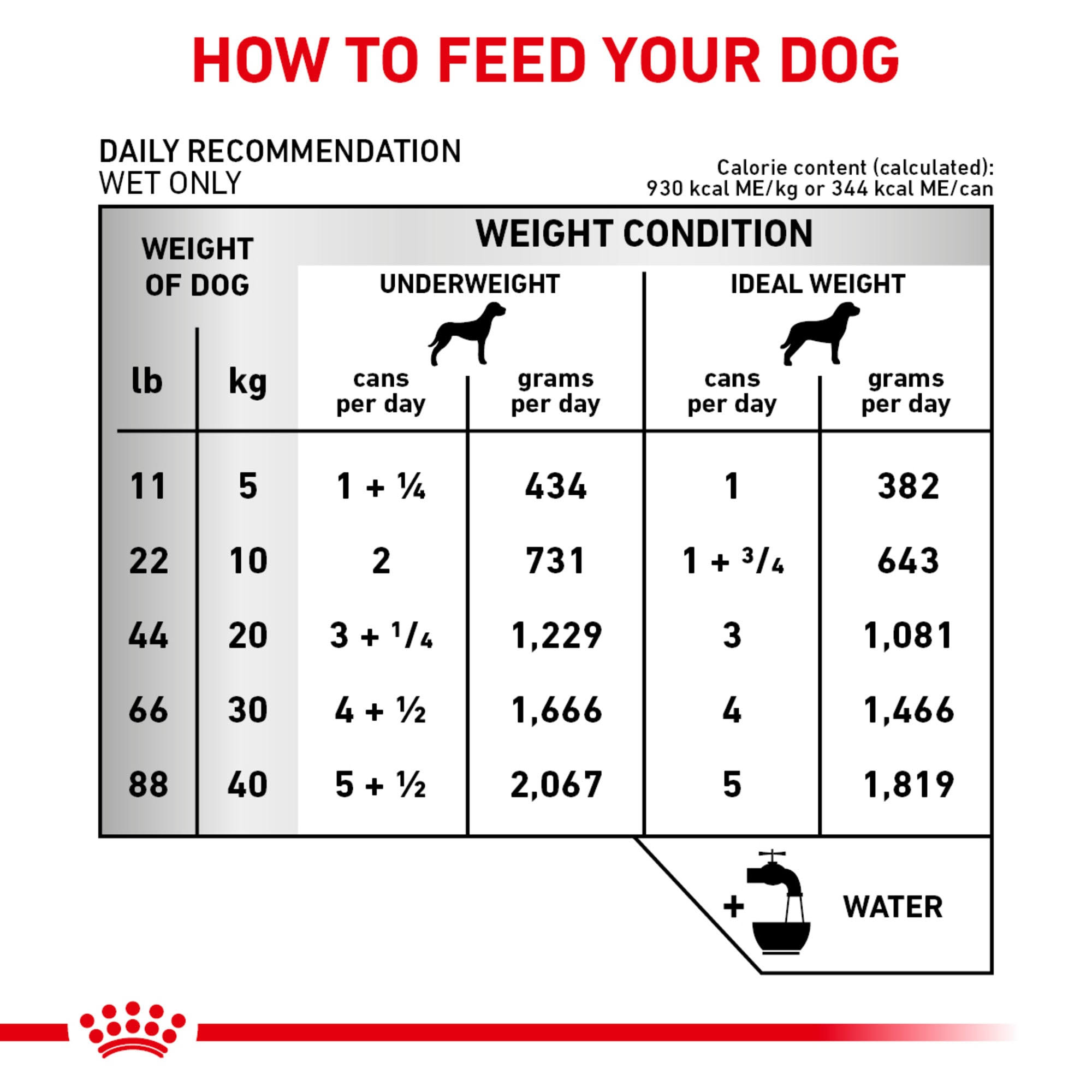 Royal Canin Veterinary Diet Canine Renal Support D Morsels In Gravy Canned Dog BH_NJ92LIMY Royal Canin Veterinary Diet Canine Renal Support D Morsels In Gravy Canned Dog BH_NJ92LIMY