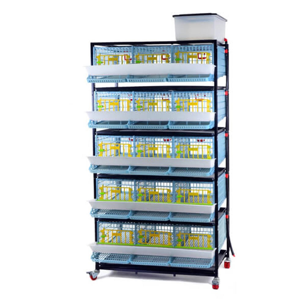 Quail Cage - 5 Layer (Power-Washable, Durable, Abs Plastic) | Hatching Time KT_CK3TSPRI Quail Cage - 5 Layer (Power-Washable, Durable, Abs Plastic) | Hatching Time KT_CK3TSPRI