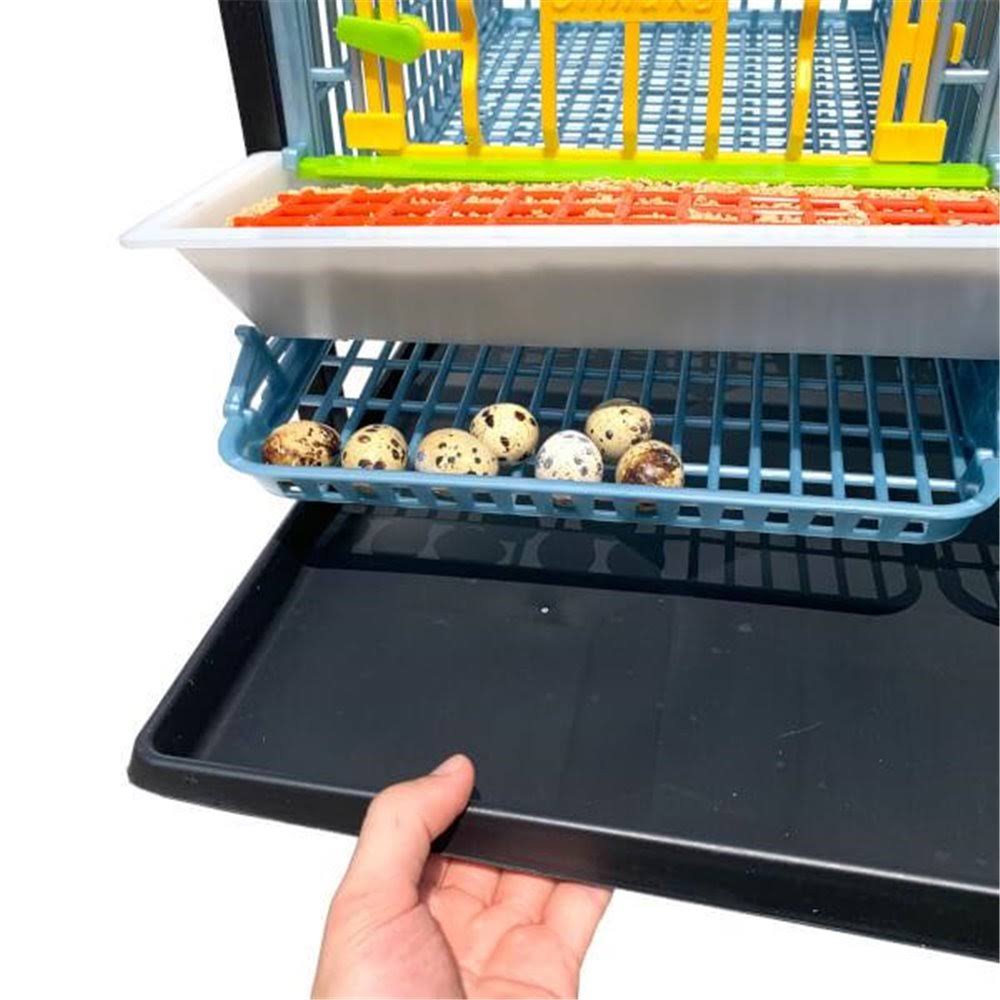 Quail Cage - 5 Layer (Power-Washable, Durable, Abs Plastic) | Hatching Time KT_CK3TSPRI Quail Cage - 5 Layer (Power-Washable, Durable, Abs Plastic) | Hatching Time KT_CK3TSPRI