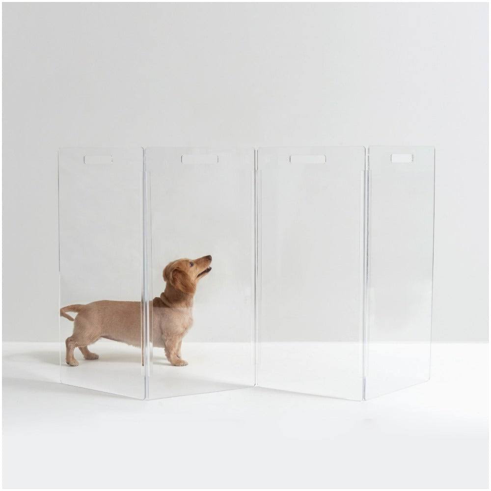 Hiddin Clear Freestanding 8 Panel Pet Gate DI_YHVPGVSZ Hiddin Clear Freestanding 8 Panel Pet Gate DI_YHVPGVSZ
