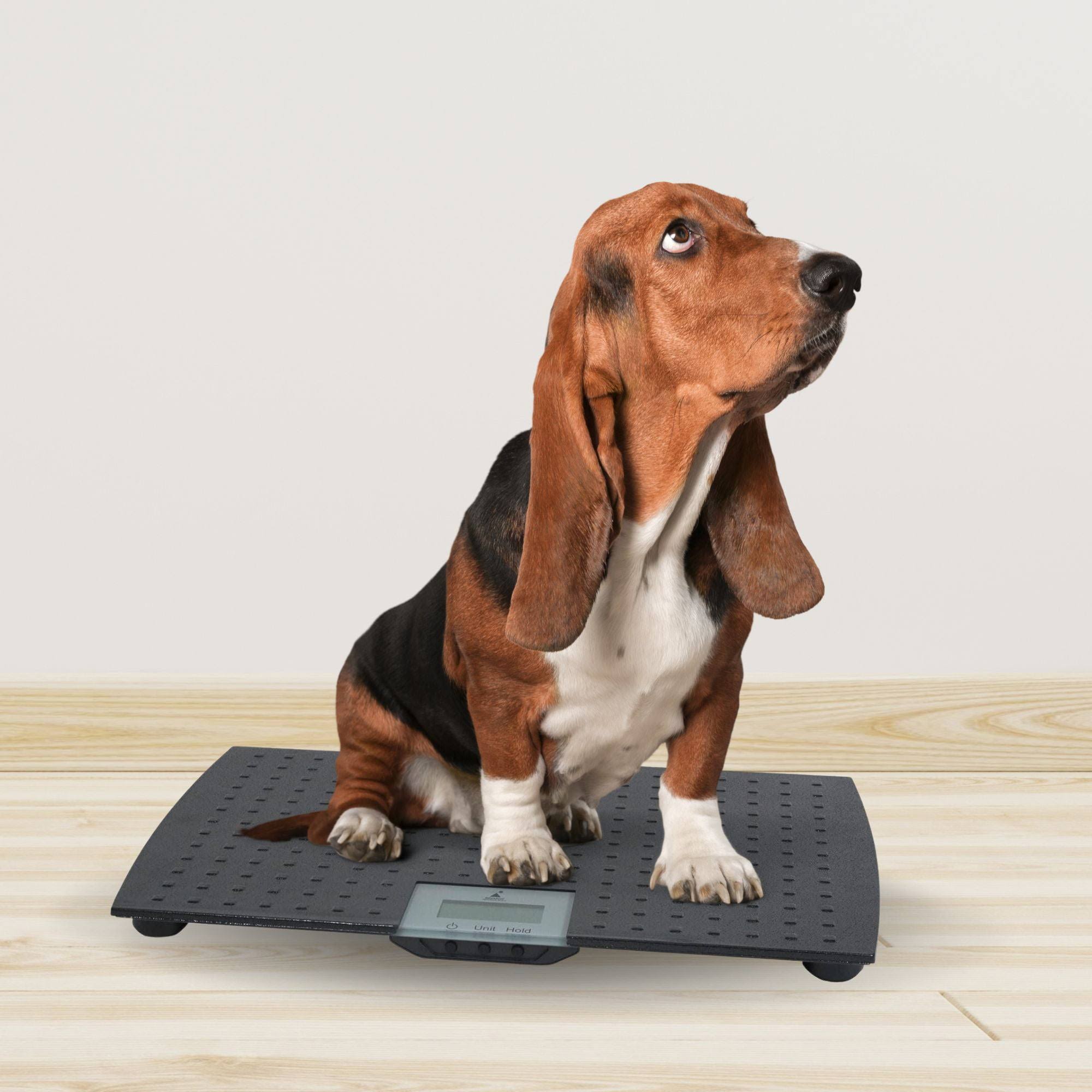 Redmon Digital Pet Scale Large KC_PPUMIJZM Redmon Digital Pet Scale Large KC_PPUMIJZM