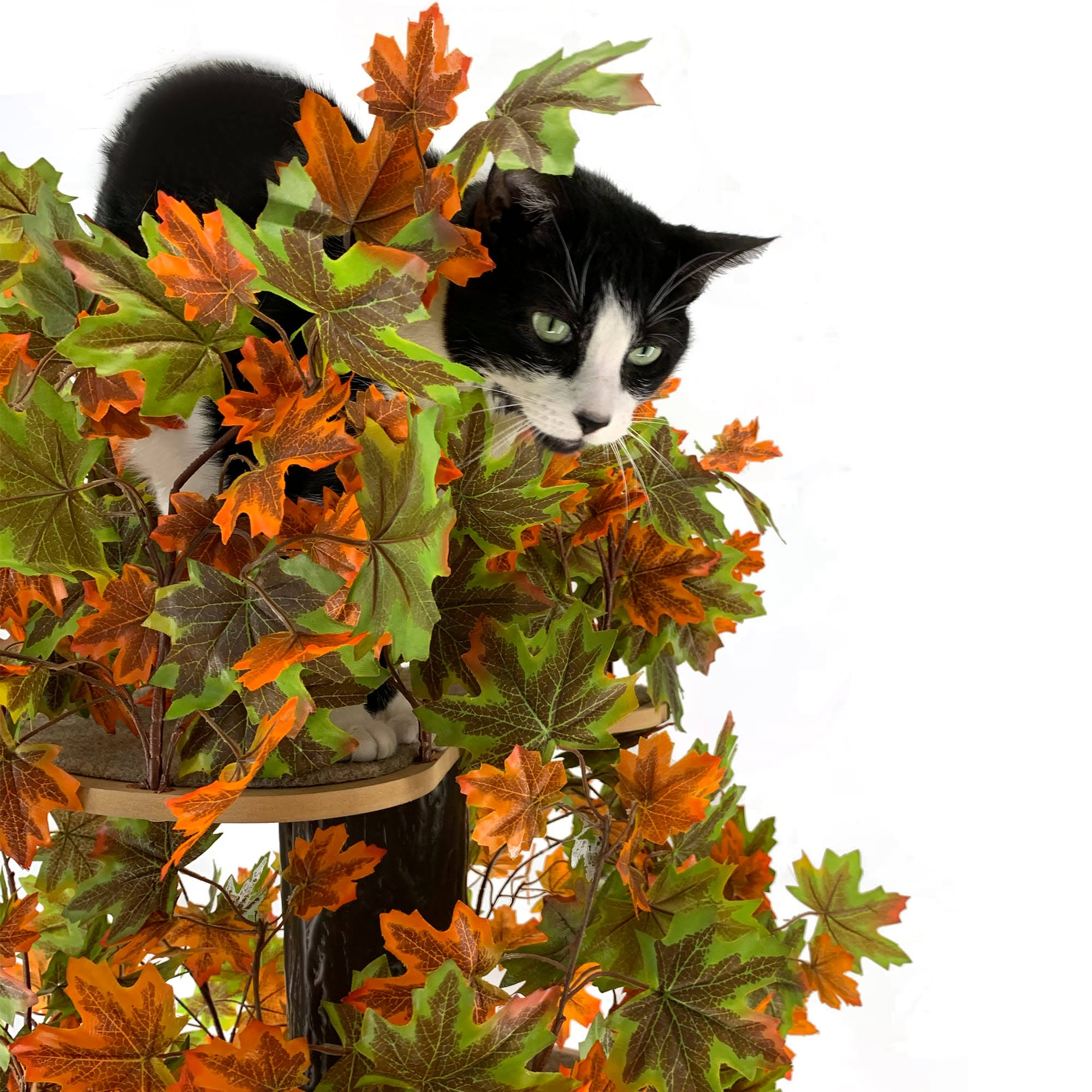 On2pets Luxury 60 In. Large Square Cat Tree (Summer) 7C_640MVGKJ On2pets Luxury 60 In. Large Square Cat Tree (Summer) 7C_640MVGKJ