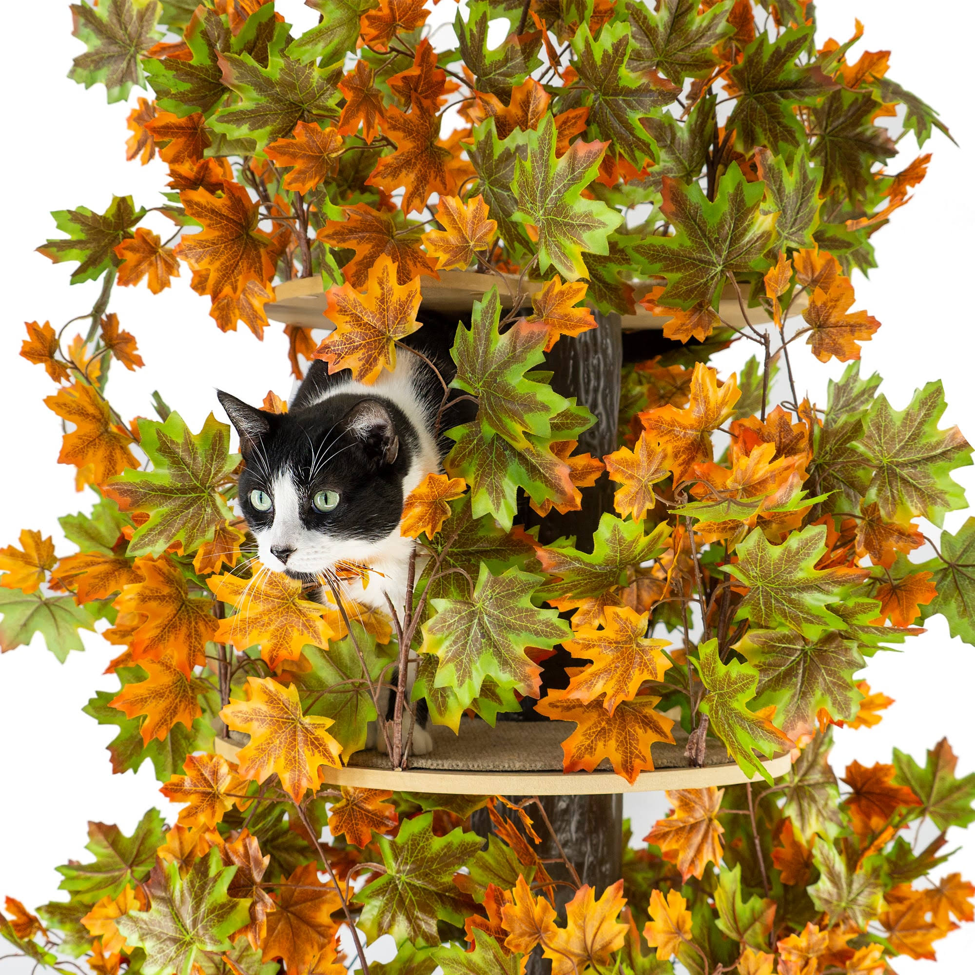 On2pets Luxury 60 In. Large Square Cat Tree (Summer) 7C_640MVGKJ On2pets Luxury 60 In. Large Square Cat Tree (Summer) 7C_640MVGKJ